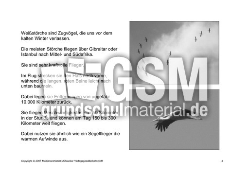 Fehlerlesen-Weißstorch-Lesetext-Sw-4.pdf